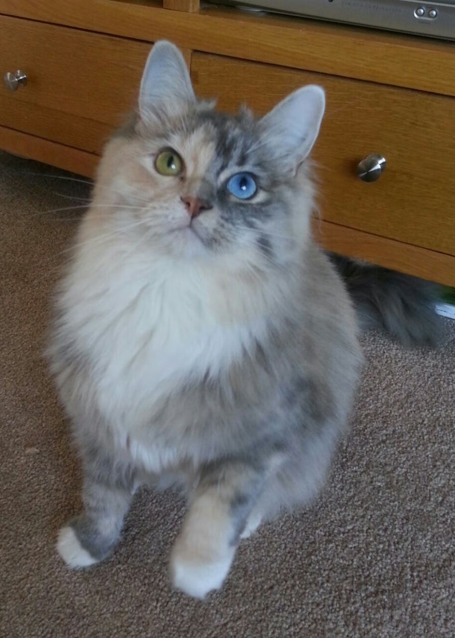 2022年总冠军赛：库里在决胜场展现“神射手”本色，单场投中7记三分，带领勇士卫冕