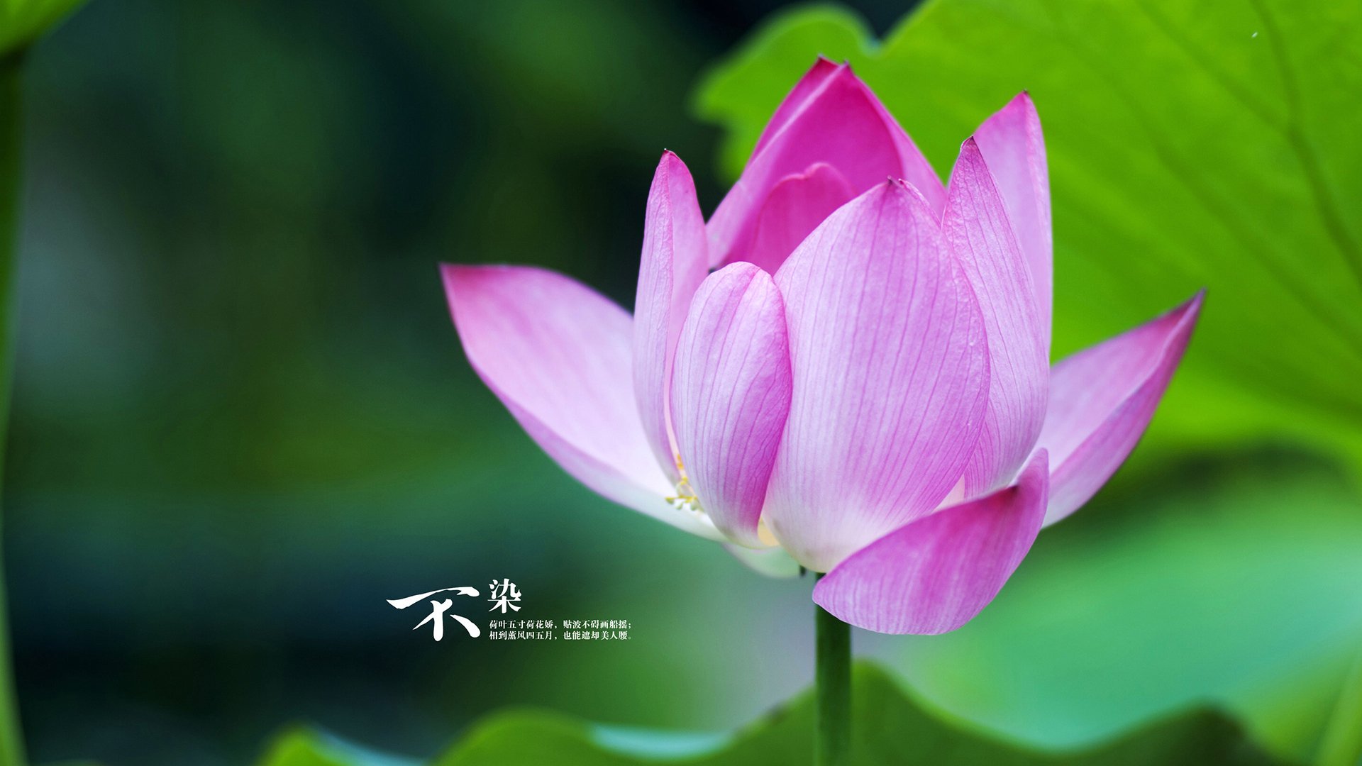 2025全球电竞明星季后赛全面开启,2020电竞行业颁奖盛典