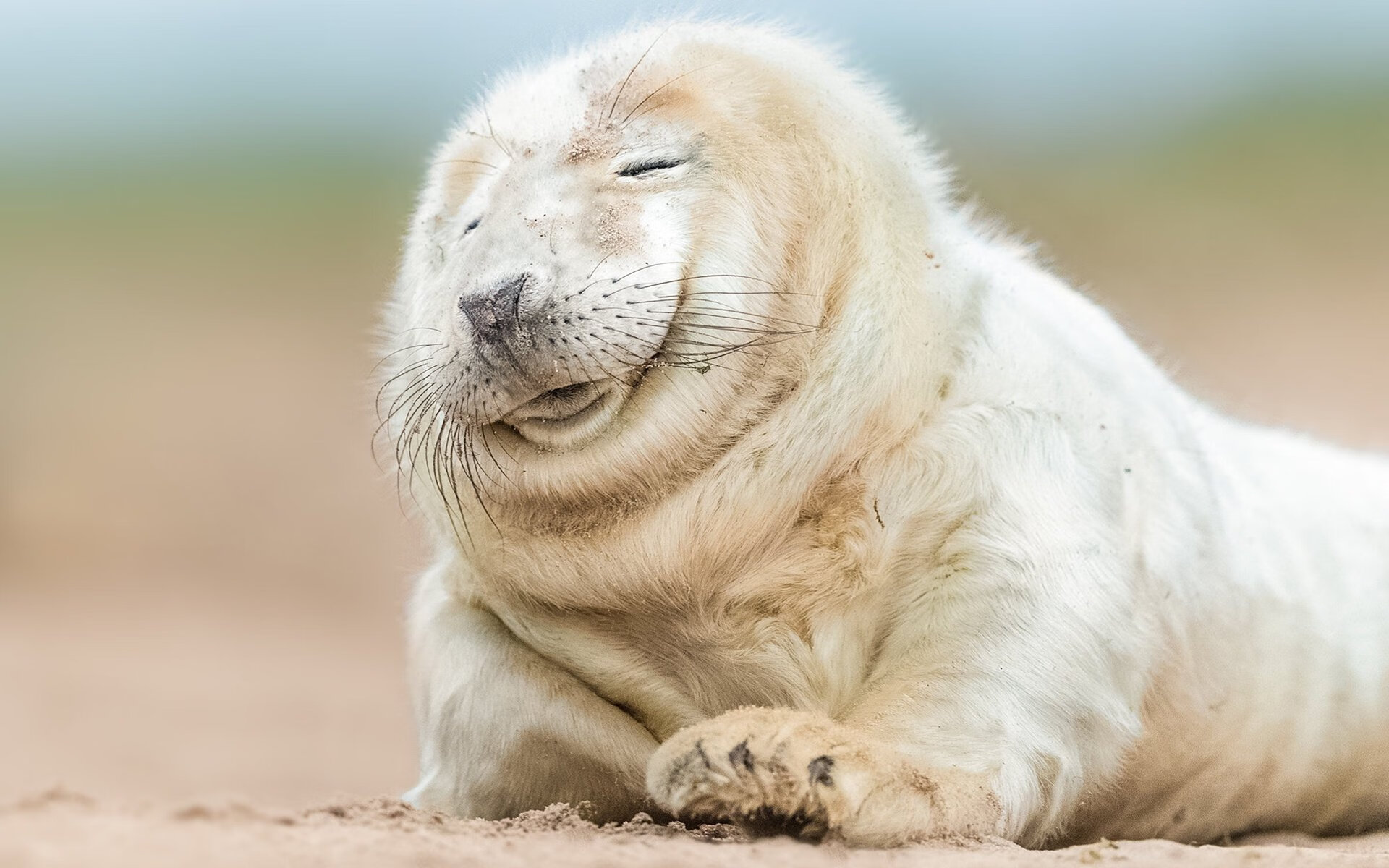 FIFA官方认可:中国足球赛事国际影响力提升,fifa最新排名_国足稳定