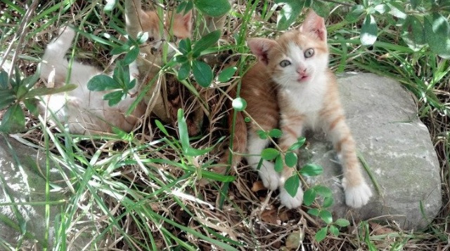 NBA最炫赛场:2025年最新视觉特效全景回顾,nba2020-2021赛季宣传片