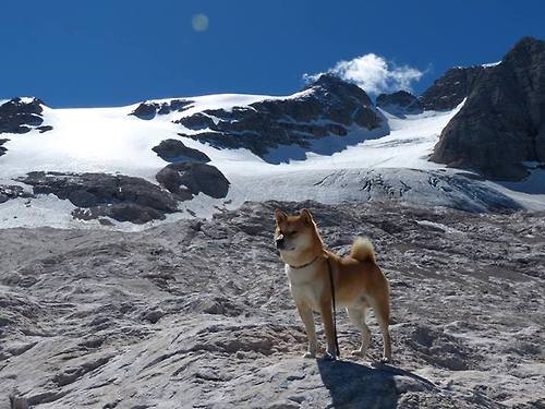 2018年东部决赛:凯尔特人在与骑士的系列赛中,塔图姆多次关键得分帮助球队艰难赢得几场比赛,展现了年轻一代的崛起。