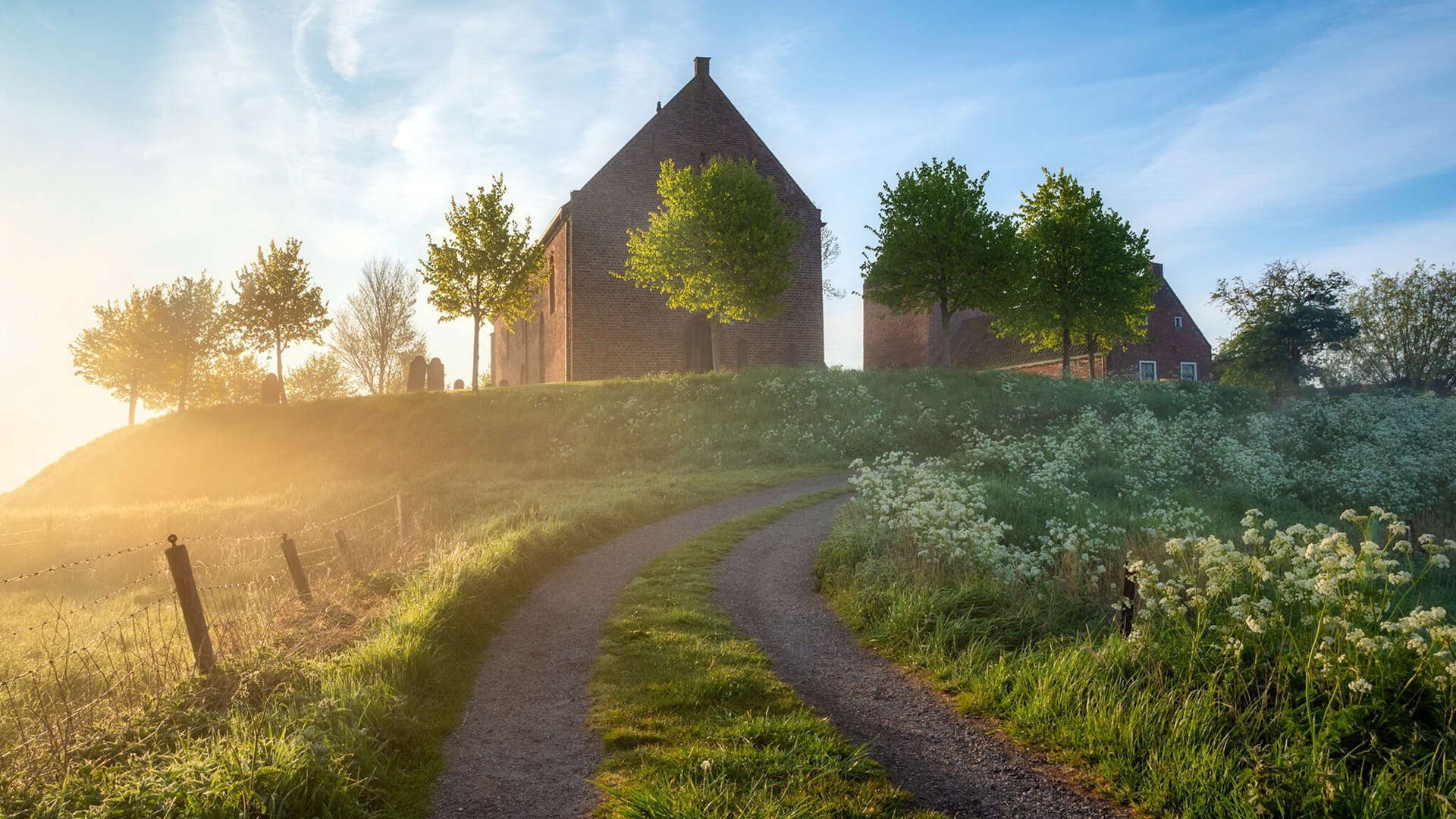 “战术革新：联盟最新打法解析”，联盟战略